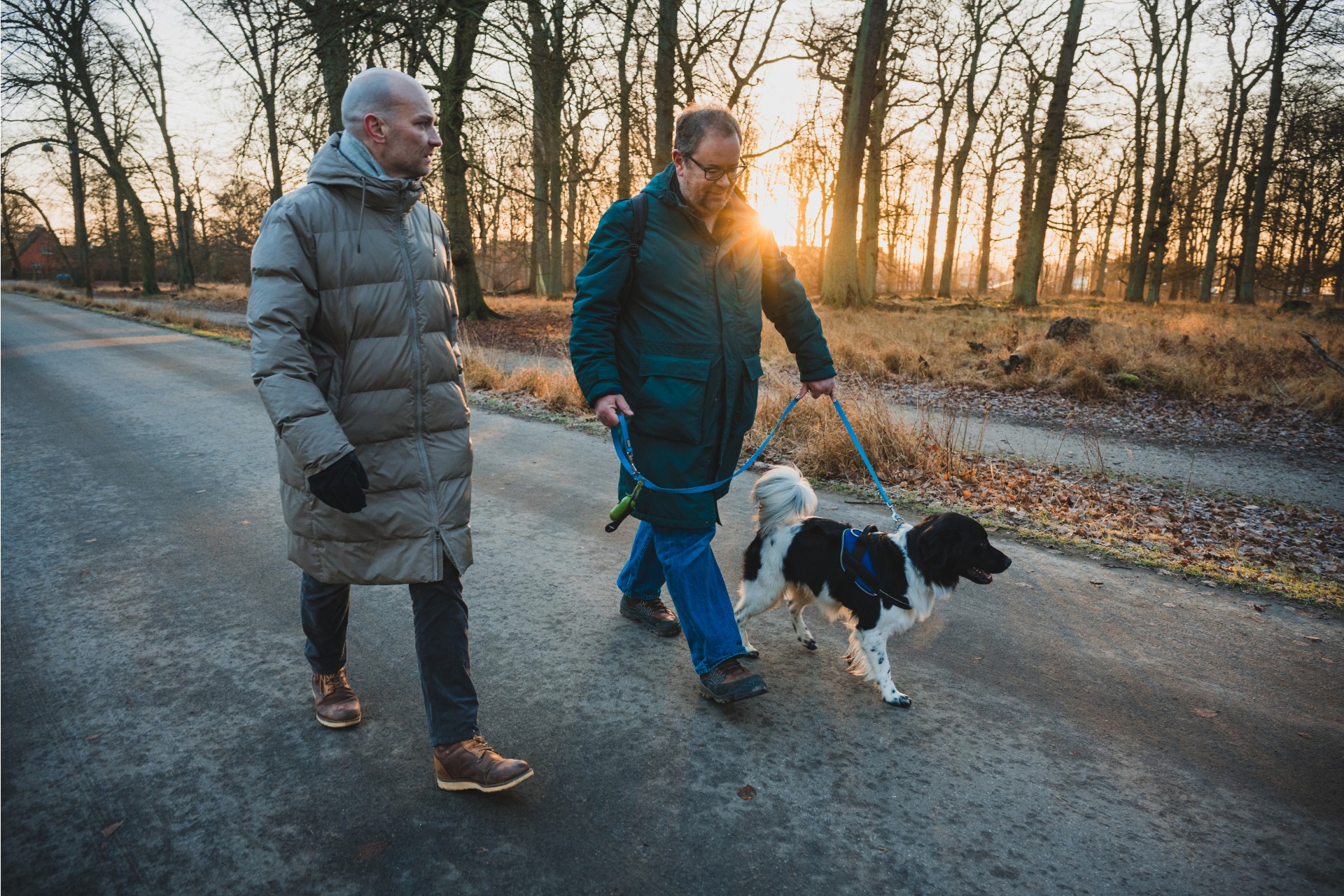 Dyrehaven3-1920x1280-landscape