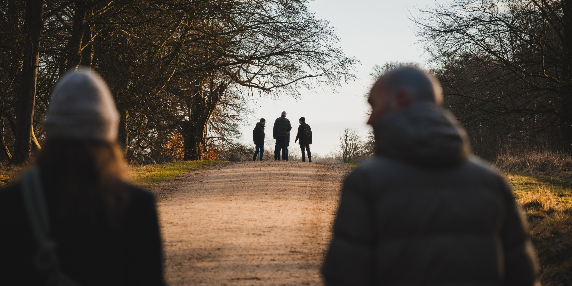 DyrehavenTOP-1920x960-wide