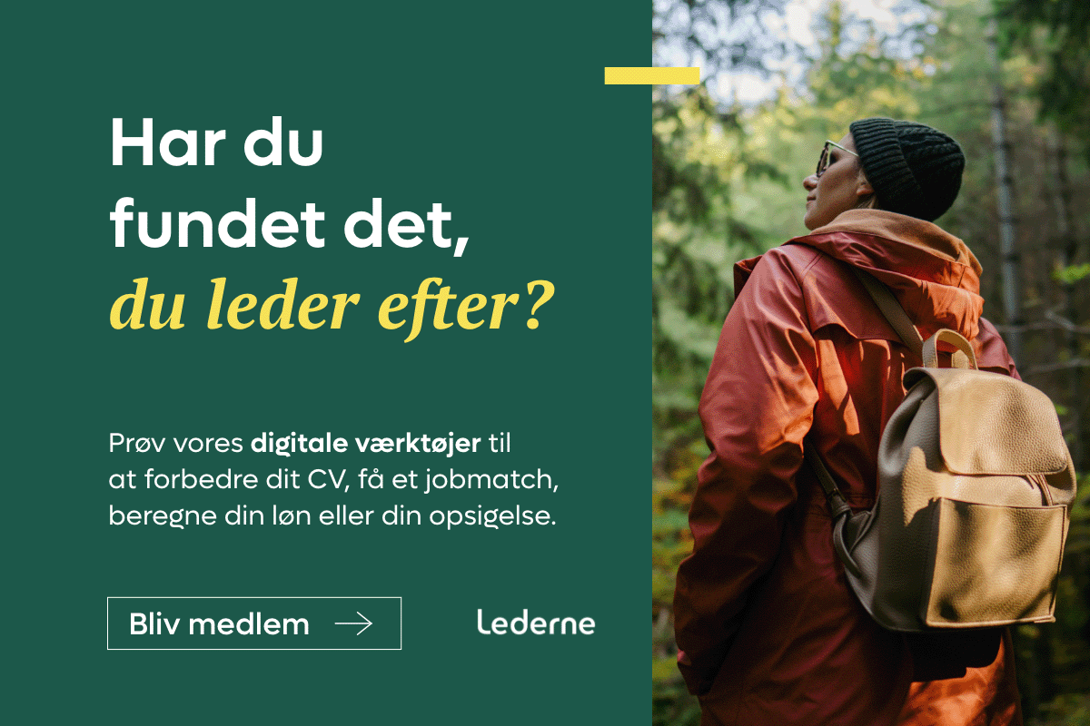 DigitaleVaerktoejer_har-du-fundet-det-du-leder-efter_logo_1200x800_GIF