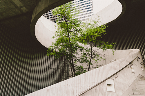 Et træ i midten af en rund trappe