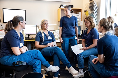 Sygeplejesker og jordmødre på Horsens sygehus til et møde hvor de giver hinanden feedback