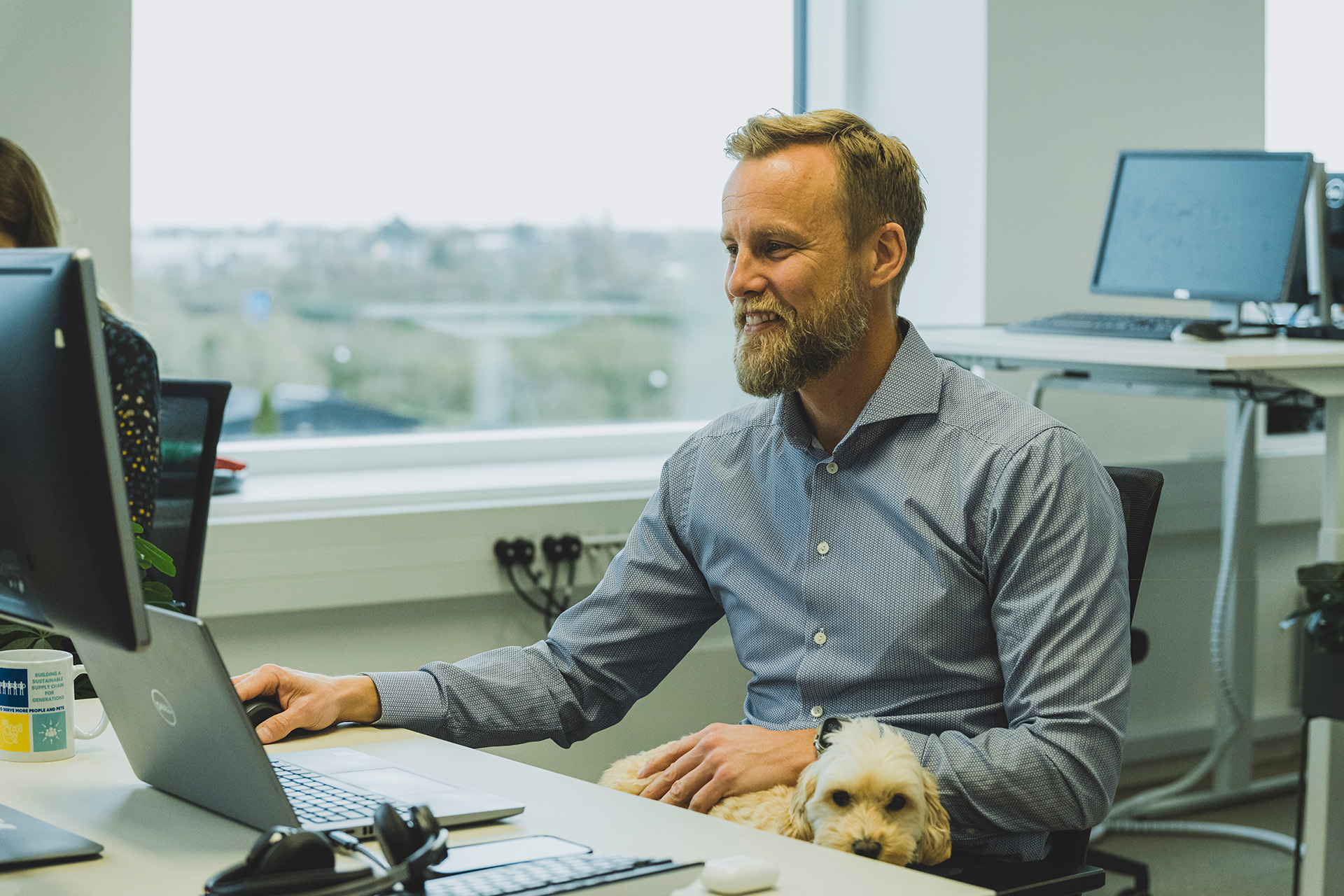 Hund ligger på skødet af en medarbejder på Mars' storrumskontor
