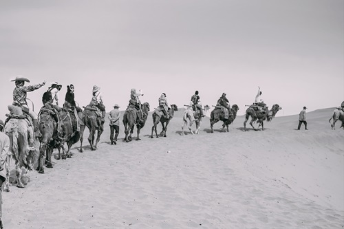 Mennesker på heste og kameler i ørken