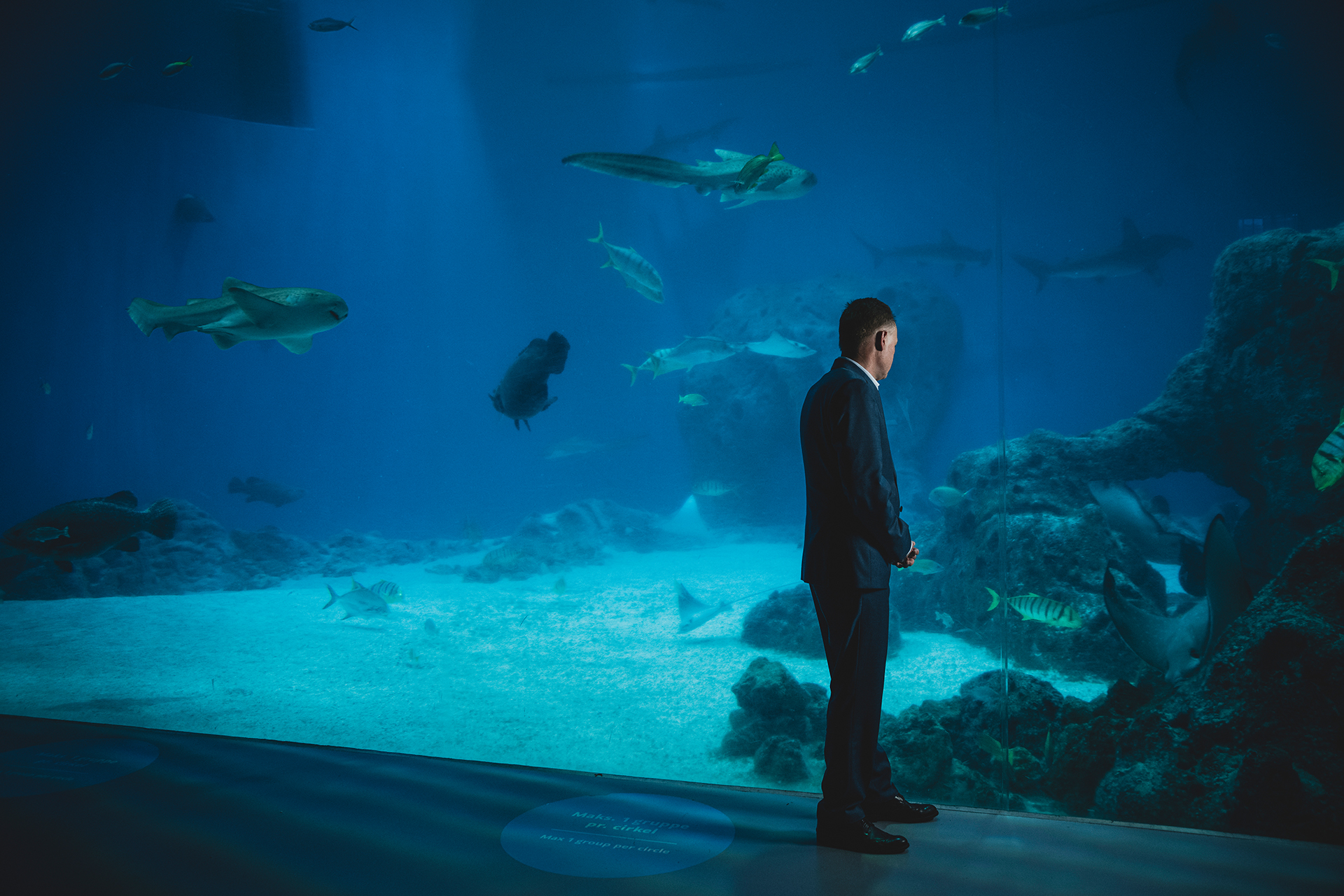 Gennem kriseledelse har Den Blå Planets direktør Jon Diderichsen afværget et økonomisk kollaps