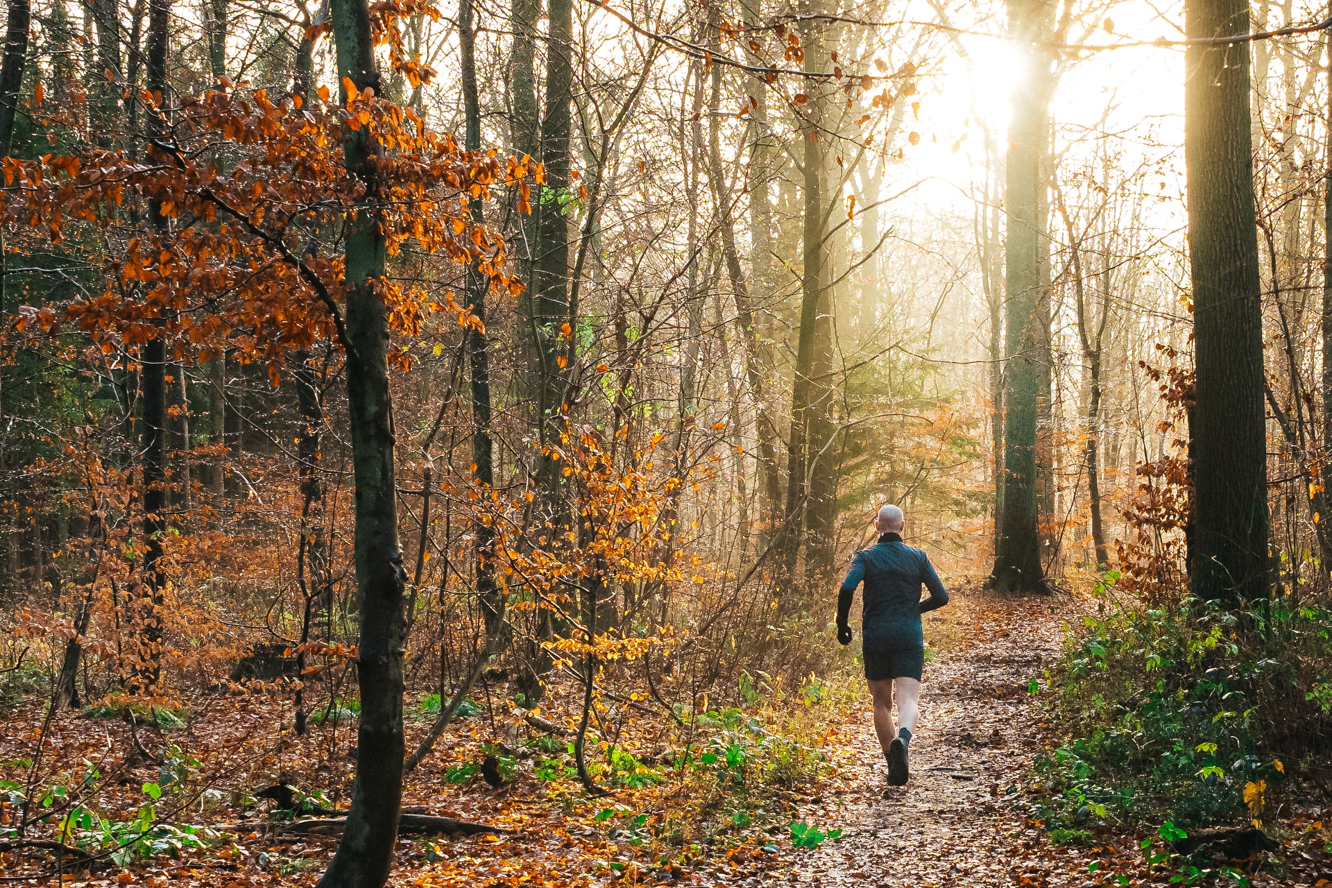 LarsGudbrandsson-1920x1280_landscape