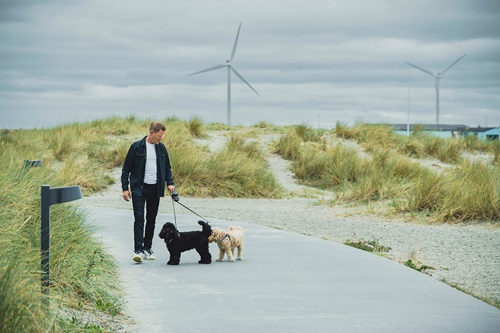 Lars Sander Matjeka går tur med sine hunde på Amager Strandpark
