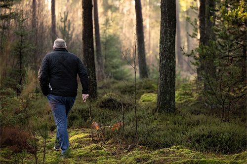 Lars Peter Brasen på gåtur i skoevn som en af sine faste pauser