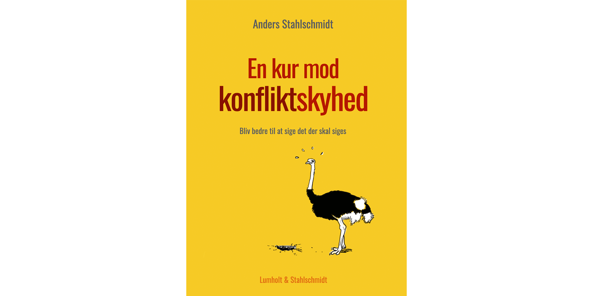 En kur mod konfliktskyhed af Anders Stahlschmidt