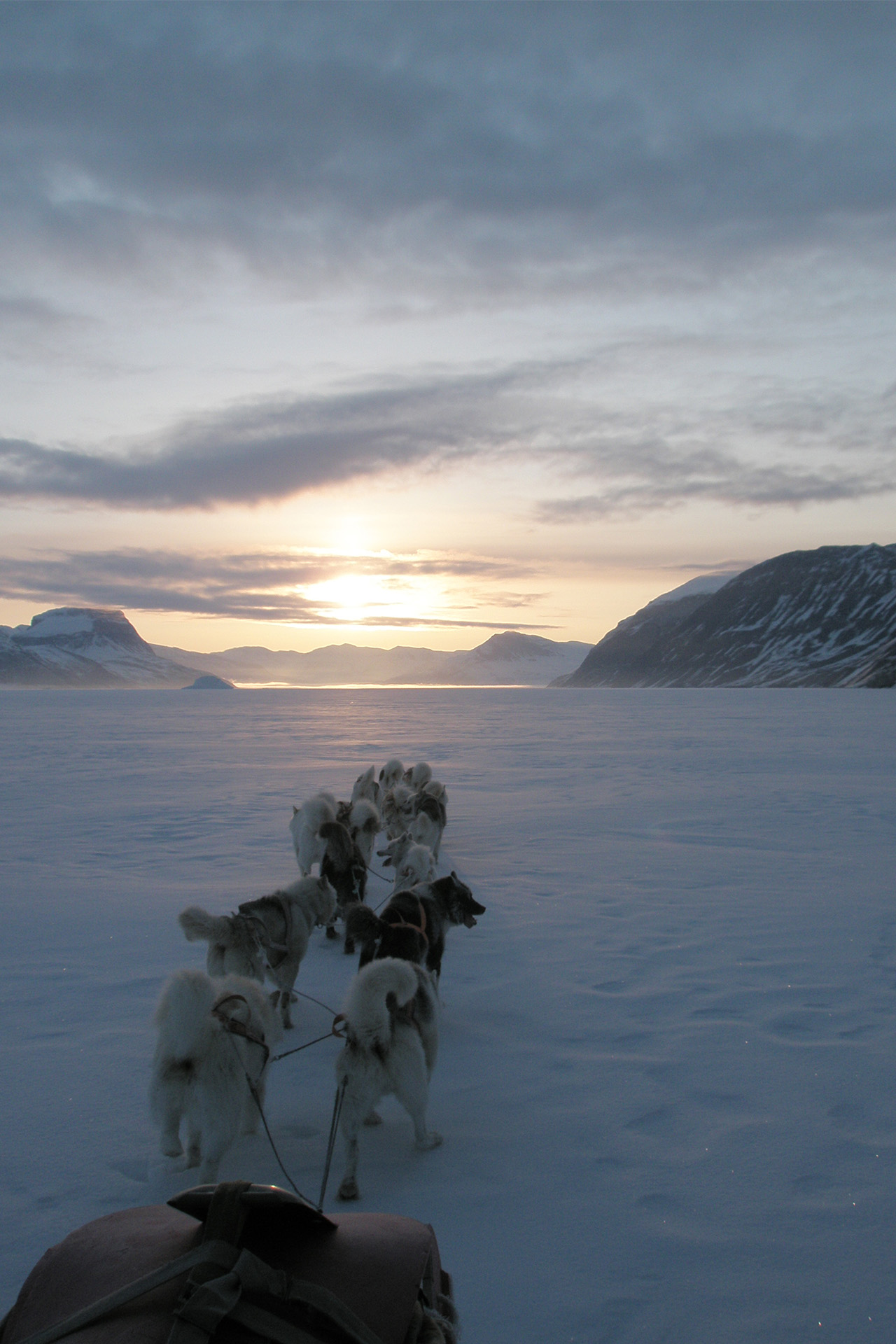 Slædepatruljen Sirius på tur på indlandsisen