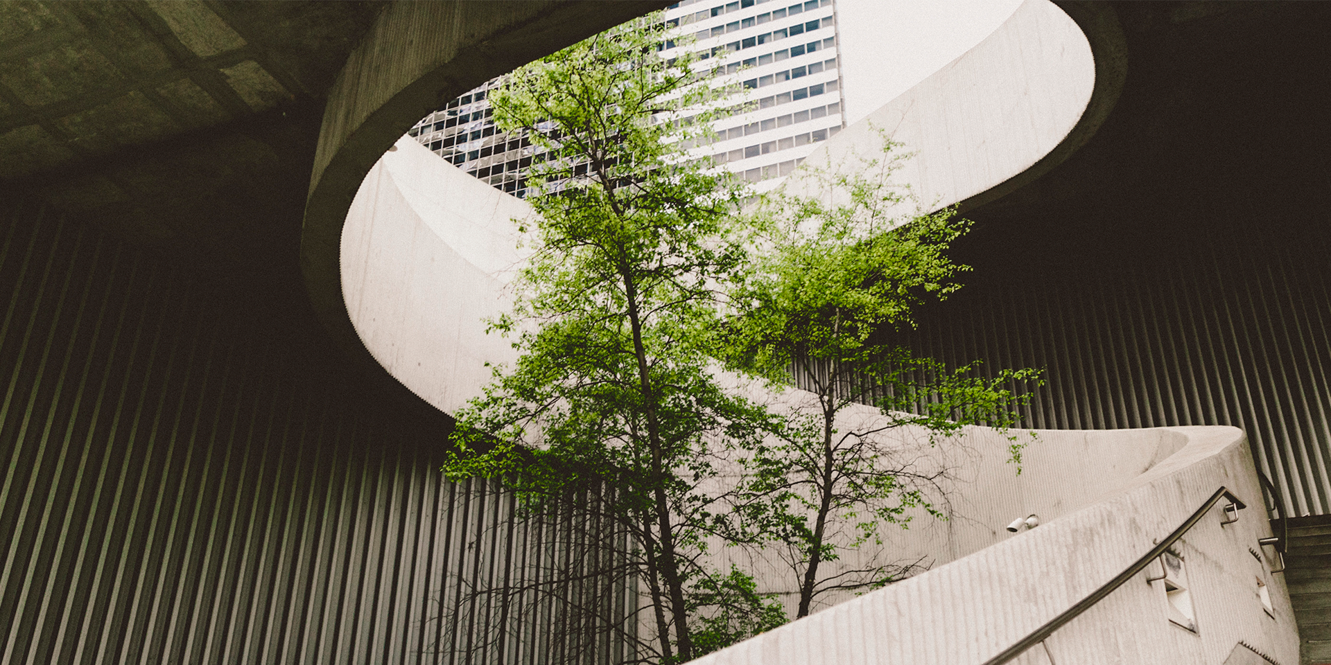 Et træ i midten af en rund trappe