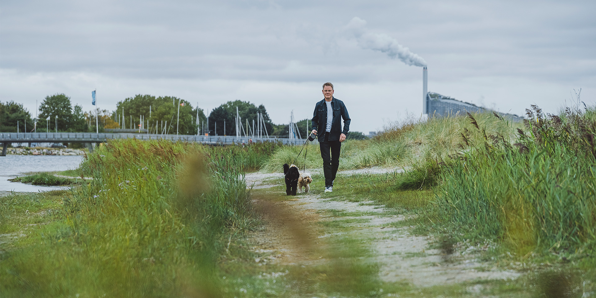 Lars Sander Matjeka går tur med sine hunde på Amager Strandpark