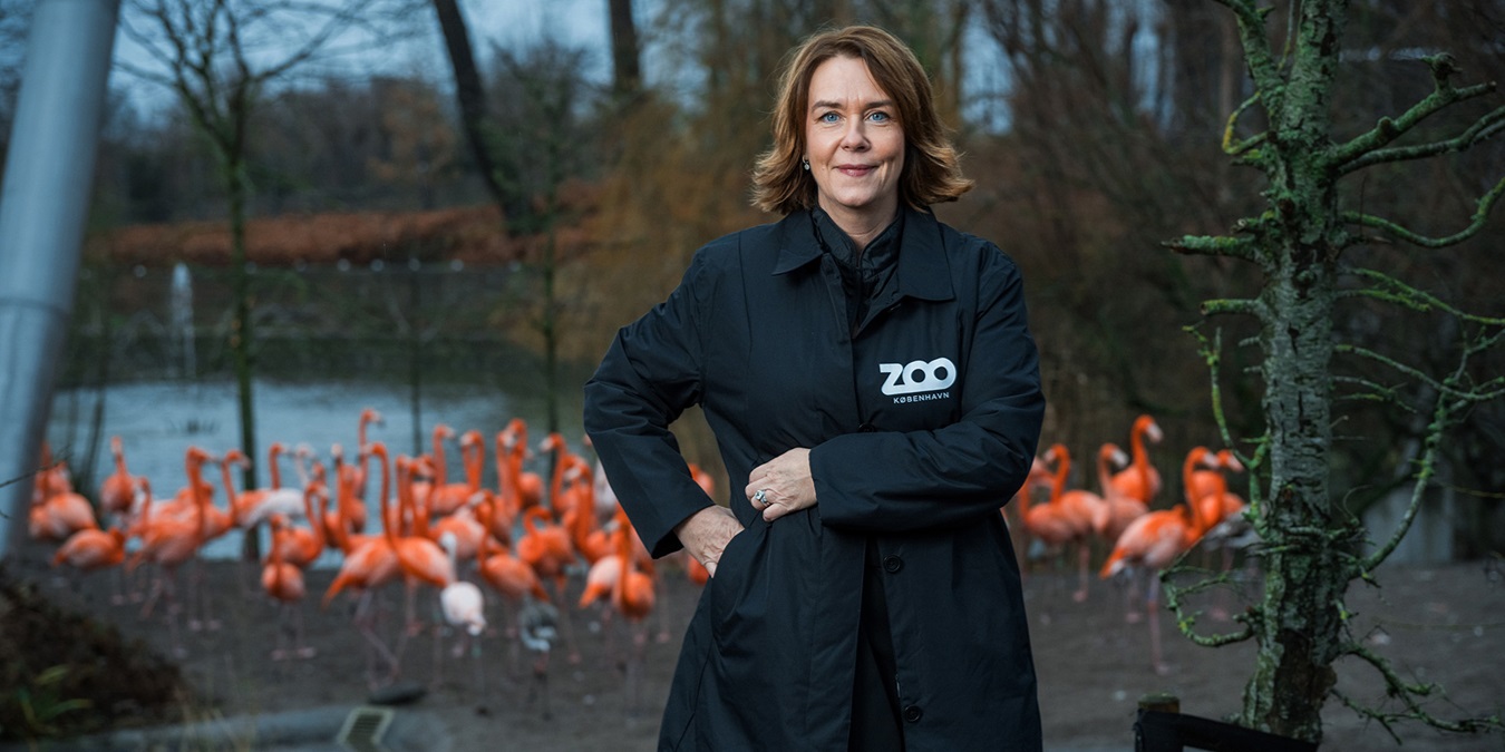Pernille Mehl står foran en masse flamingoer