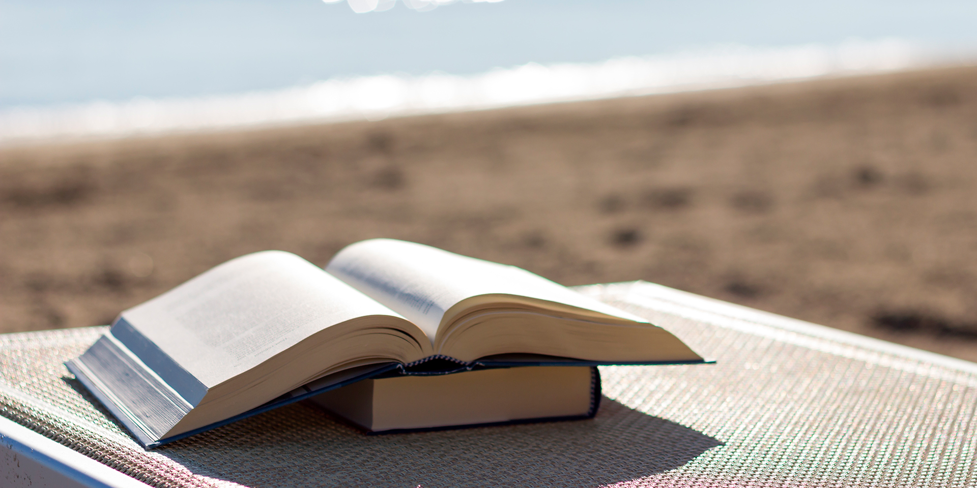 Topledernes sommerferielæsning